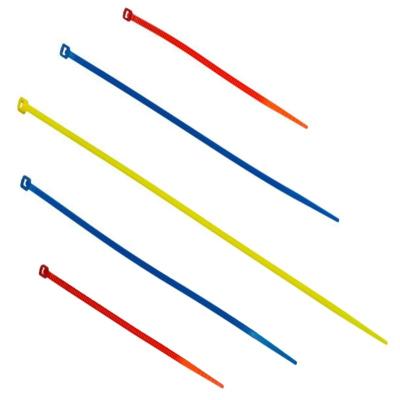 China Eco-friendly export nylon cable ties color cable ties supply self-locking cable tie3.6*250 for sale