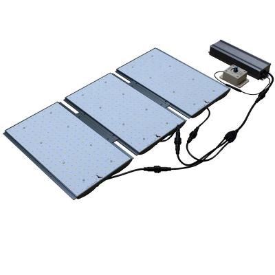 China Seed starting 300w led grow light commercial for hydroponics plant for sale