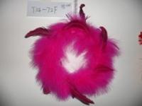중국 Feather 판매용