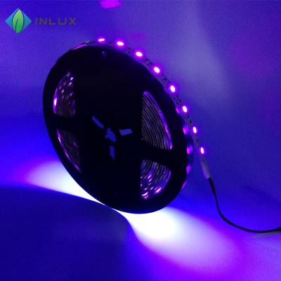 China DC 12V 24V smd 2835 60leds/m ultraviolet uv light 365nn 380nm 385nm 390nm 395nm 400nm 405nm IP20 IP65 IP67 IP68 uv led strip for sale