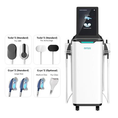 China Weight loss body contouring slim bodi muscle stimulator rf cryolipolysis slimming EMS machine for sale