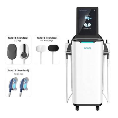 China A 9in1 Body Slimming Abdominal crioterapia 360 Cryo EMS Cryotherapy Fat Loss Machine Weight Loss Equipment for sale