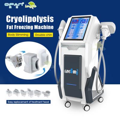 China Factory Sale OEM ODM Cryolipolysis Weight Loss 360 Degree Vacuum Cavitation 2 Cryo Handle Slimming Machine with 5 Replaceable Heads for sale