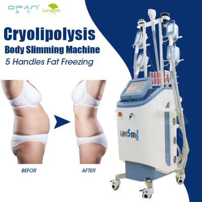 China Weight Loss Freezer Cryo 21 Machine Cellulite Treatment Removal Suction Crioliposis Crioliposis Machine Cryolipolysis Fat for sale