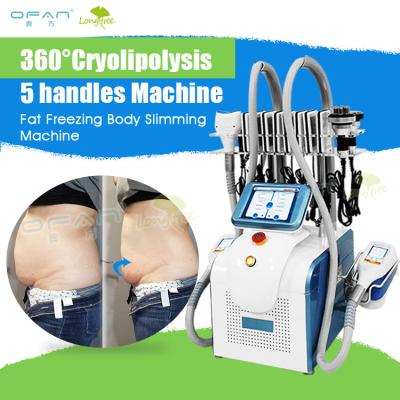 China Weight Loss Best Dual Portable Criolipolisis Cryo Handles Kryolipolysis Fat Freezing Equipment Cryotherapy Machine for sale