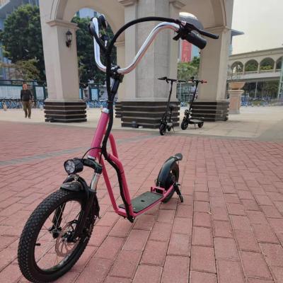 China EcoSmart Steel SUP Electric Scooter 16