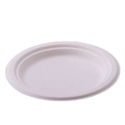 China Disposable Paper Plate Greaseproof Eco-Friendly Bagasse 7