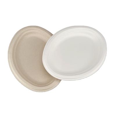 China Disposable 100% Biodegradable Dishes Customized Size Sugarcane Bagasse Tableware Food Container Disposable Food Grade Materials Dish for sale