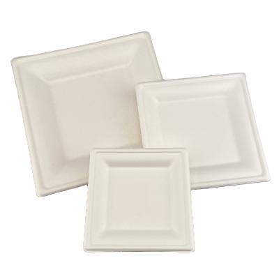 China Hot Sale 100% Disposable Disposable Compostable Disposable Biodegradable Paper Pulp Disposable Dishes 100% Biodegradable Square Dish for sale