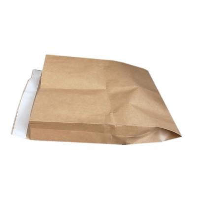 China Strong Adhesive Wholesale Eco Friendly Kraft Paper Compostable Rigid Mailing Bags With Custom Print for sale