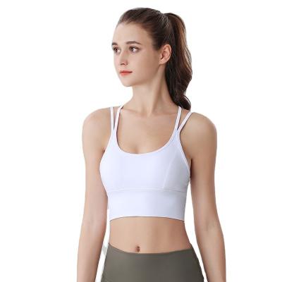 China Hot Selling Breathable Active Ladies Yoga Sports Bra Fitness Wear Crop Tops With Removable Pads And Adjustable Strap For Women lulu custom made for sale