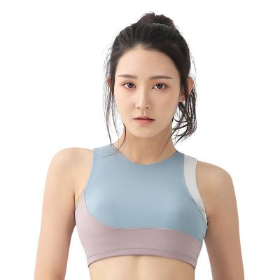 China Dibao Anti-Static Women Wear Sports Bra With New Arrive for sale