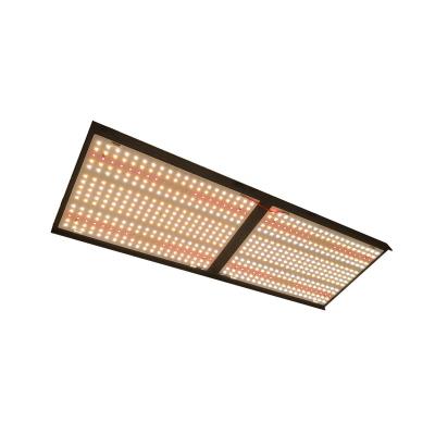 China 240W Quantum Panel 2in1 Full Spectrum QB300 Dry Starting Seed LED Grow Light Bar For Hydroponic Indoor Plants for sale