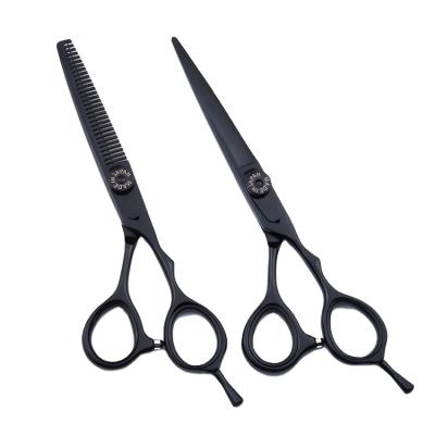 China Thinning Scissors 6 Inch Hair Salon Cutting Scissors Hairdresser Customized Japanese Steel Scissors Barber Scissors for sale