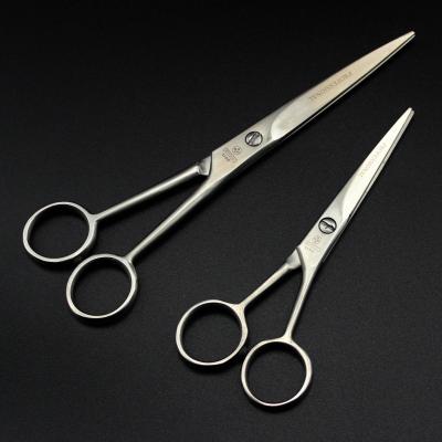 China 5 and 6 Inch Double Left and Right Silver Left and Right Hair Salon Cutting Scissors for sale