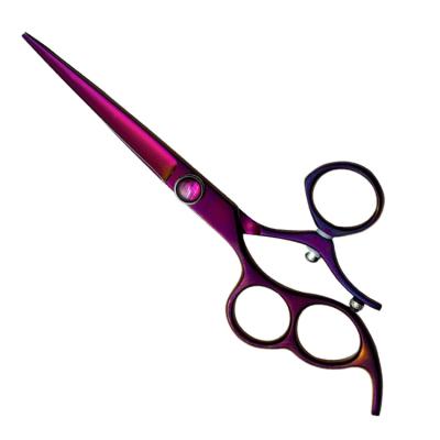 China Carbon Content 1.0-1.2% 6.0 Inch SUS440C Japan Steel Hair Cutting Barber Swivel Inch Hairdressing Scissors Left Handed for sale