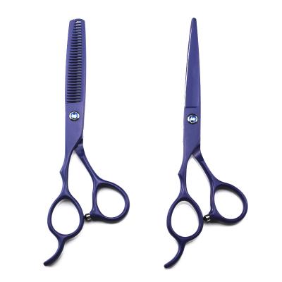 China Wholesale Violet Hair Cutter Stainless Steel Left Handed Thinning Scissors Thinning Blunt Tip 6.0 Inch Thinning Scissors for sale