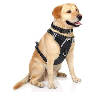 China Viable in Wholesale Sport Safety Dog Running Leash Waterproof Neoprene Backpack Adjustable Pet Harness Tactical Set for sale