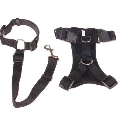 China Padded Pet Supplies Halloween Fall Xs Small Neck Instruction Manual Harness Walking Adjustable Dog Jacket Set for sale