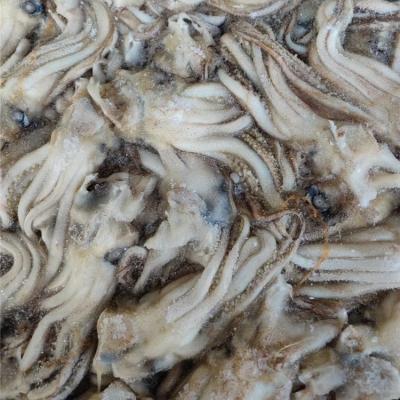 China Nutritious high quality black squid tentacle remove eye mouth purchase squid head IQF jelly jelly squid head for sale