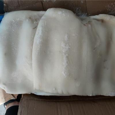 China Giant Squid Fillet Nutritious Professional Frozen Fillet Maker 2-4kg Giant Squid Frozen Skinless Frozen Fillet for sale