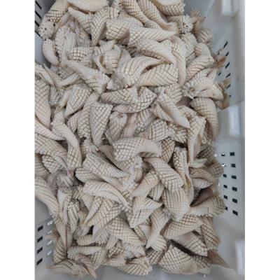 China Giant Squid Nutritious Fresh Frozen Flower Seafood Frozen Cut Squid for sale