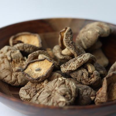 China Dry shtiike mushroom trade dry mushroom dry products of high-quality continuous development of industrialization for sale