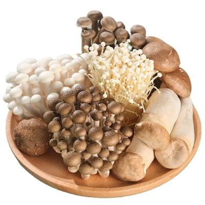 China Factory fresh cultured shiitake mushrooms china finc king oyster king oyster white mix for sale