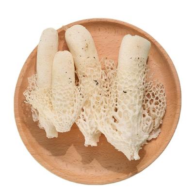 China Fresh White Bamboo Finc Dictyophora Mushroom Fungus Fresh Spawn for sale