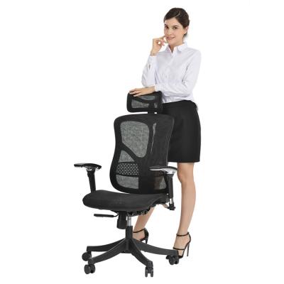 China (Size) Adjustable Ergonomic Executive Mesh Office Chair Specification for sale