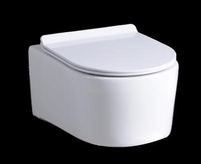 China Double-Flow New Design One Piece Wall Hung Toilet Without Tank Ceramic Toilet 201S for sale