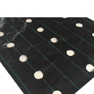 China HDPE +UV Stabilized Safety Weed Barrier Mat Mesh for sale