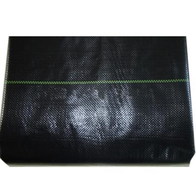 China High quality waterproof industry pp anti weed mat for agriculture for sale