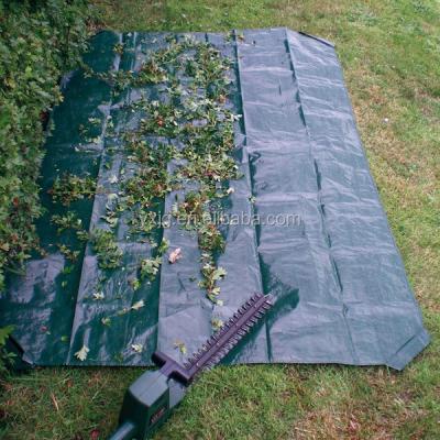 China Long Life Home Textile 80G Ground Cover Protective Sheet for sale