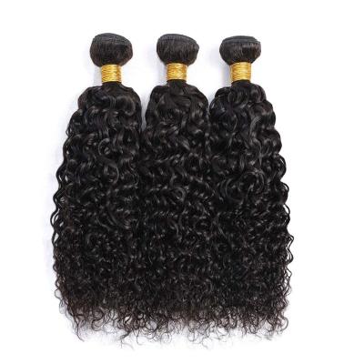 China Curly Raw Unprocessed Vietnamese Burmese Hair Vendors Water Wave Virgin Hair LTHAIR Cuticle Aligned Raw Hair Softly for sale