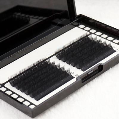 China Good quality and natural sweet price of Mega Volume Fan 0.05 Extensions Eyelash Extension Quick Supplies for sale