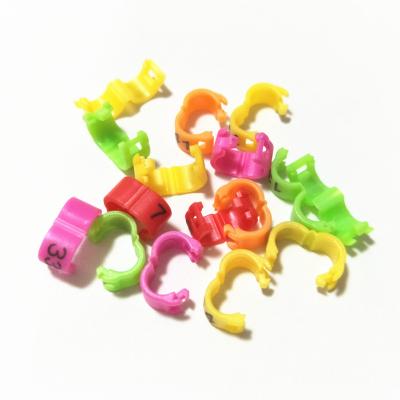 China Viable Plastic Bird Clip Bird Accessories Rings For Birds Parrots for sale