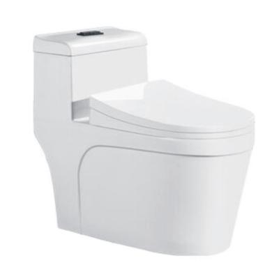 China Sanitary Ware Modern Chinese Design Double-Flow Manufacturer One Piece Toilet For Hotel for sale