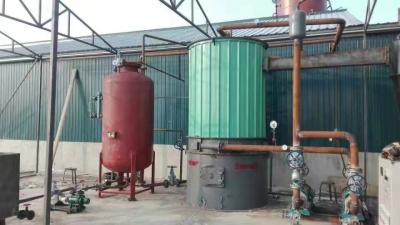 China Horizontal coal and biomass and wood fueled pellet fired boilers for sale