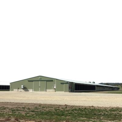 China Traditional Poultry Farm Chicken Farm Structures Light Steel Structure Poultry House for sale