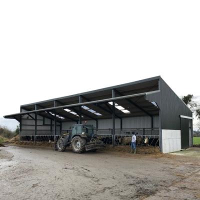 China Traditional Poultry Farm Cow Farm Structures Light Steel Structure Poultry House for sale