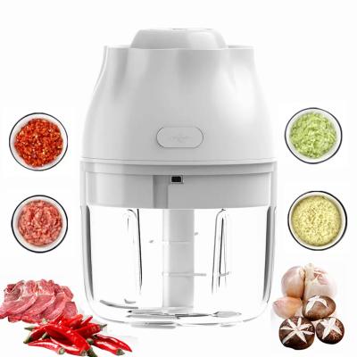 China Best USB Food Slicer Portable Mini Garlic Beater Garlic Chopper Viable Selling Electric Vegetable Cordless Cleaver for sale