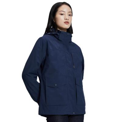 China Design Waterproof Outdoor Women's Down Coat Waterproof Coat Winter 3 in 1 Color Hooded Natural Regular Jacket Thick Anti-Static Casual for sale