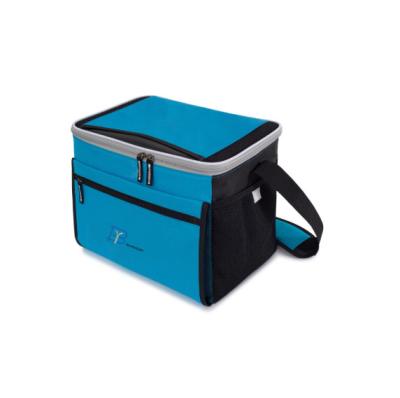 China Wholesale 24 Box Capacity Cooler Bags Waterproof PEVA Lining Outdoor Lunch Bag Bag Free Sample for sale