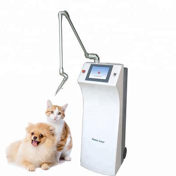 China CL30 CO2 Laser Therapy Pet Surgery CO2 Laser Machine For Veterinary CL30 for sale