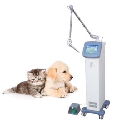 China CL40 2021 High Quality And Cheapest Cl40 Veterinary Laser Machine CO2 Use Hospital Pet Clinic Laser for sale