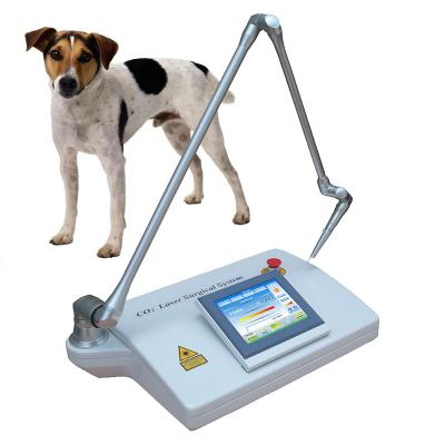 China For commercial & Home Use CL20 Portable Laser Machine CO2 Medical Surgical Equipment For Veterinary Use for sale