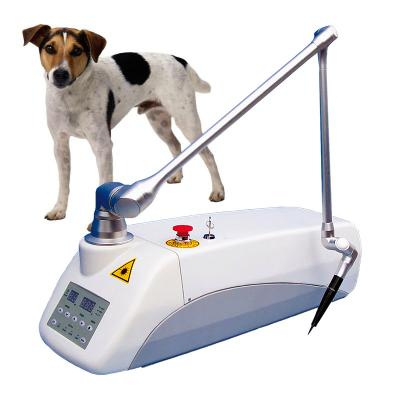 China CL15 hot products main china laser therapy equipment 88*44*37cm veterinary physiotherapy 20 instrument for sale