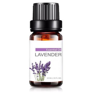 China Essential Oil 100% Lavender Fragrance Massage Essence Oil MSDS Lavender Organic Essential Oil Aromatherapy Body Oil for sale