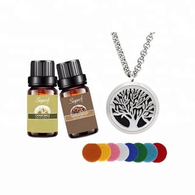 China Aromatherapy Beauty Spa Aroma Diffuser Luxury Pure Essential Oil 10ml and Necklace Diffuser Kit Private Label for sale